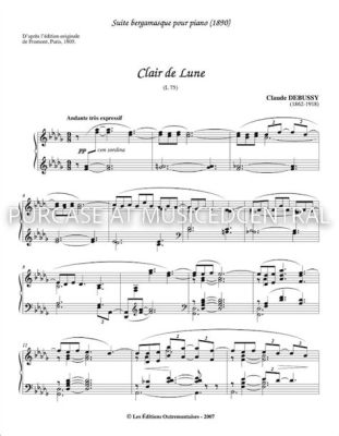 Clair de Lune:  การฝันกลางดึกที่งดงามและบรรเจิดด้วยดนตรีคลาสสิกที่ไพเราะ